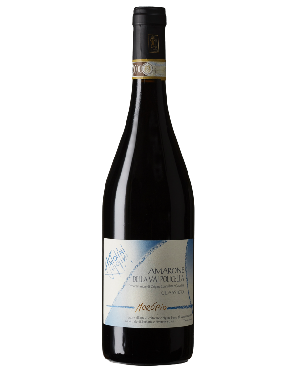 Antolini “Moropio” Amarone Classico DOCG 2016